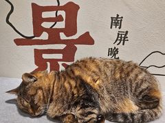 -猫的天空之城概念书店(杭州南宋御街店)