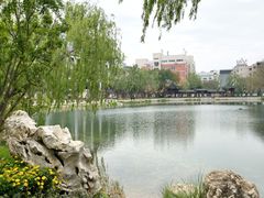-北湖公园