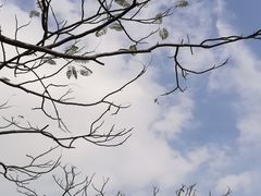 -三水森林公园