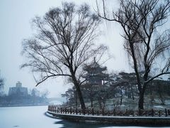 -迎泽公园