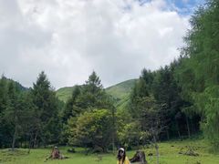 -硗碛藏寨·神木垒景区