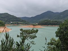 -广州市流溪河国家森林公园