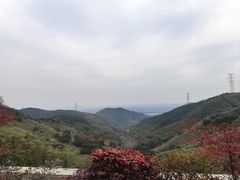 -东明山森林公园