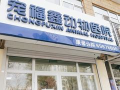 -宠福鑫康馨动物医院·骨科·眼科
