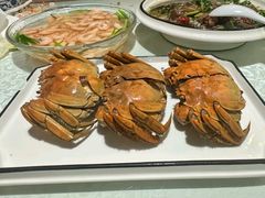 -呼吸森林·生态农庄农家乐私房菜