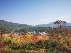 -塔川景区