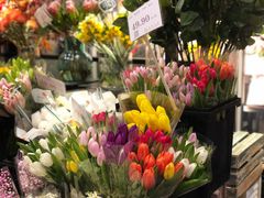 -豆豆花艺(新光天地店)