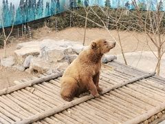 -济南野生动物世界