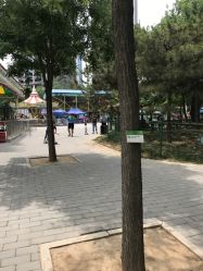 -大望京儿童游乐场