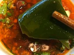 -红鼎坊·老成都火锅(新南门店)