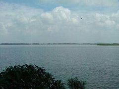 -漕湖湿地公园