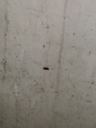 -北京市朝阳区妇幼保健院(南院区)