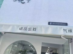 -淘花源花艺鲜花店 开业花篮 绿植(南部商务区店)