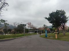 -白石龙音乐公园