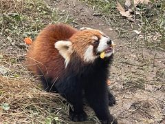 -宁波野生动物园