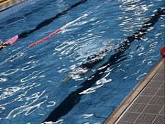 -硅谷蒙学幼儿园