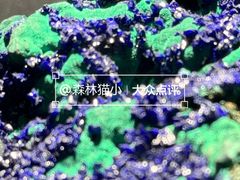 -甘肃地质博物馆