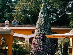 -火车头法国西餐厅