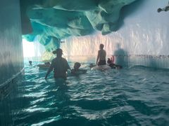 -重庆海昌加勒比海水世界