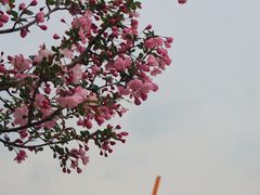 -龙美术馆(西岸馆)