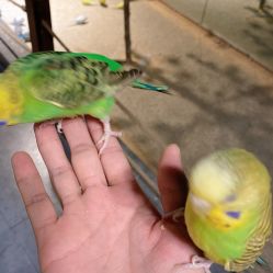 -酷嗒动物文化乐园(cutezoo西溪乐天城店)