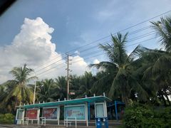 -海大南门夜市(海富街店)