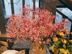 -新沙洞咖啡(泉乐坊店)