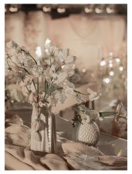 -Sunny喜铺婚礼策划(东部店)