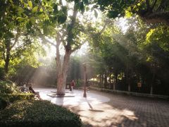 -回龙窝历史文化街区