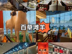 -百草滩羊清水涮羊肉·清真·宁夏盐池滩羊(莲花桥店)