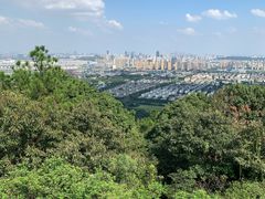 -灵岩山风景区