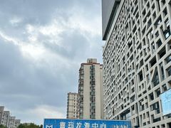 -证大喜玛拉雅中心