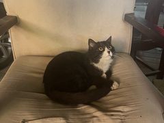 -潇湘·永州会馆(百子湾店)