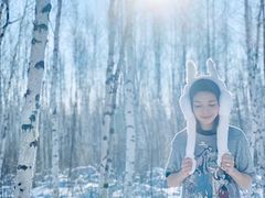 -乌兰布统景区-白桦林