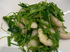 野生辽参-宁海食府(大剧院店)