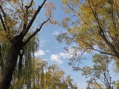 -迎泽公园