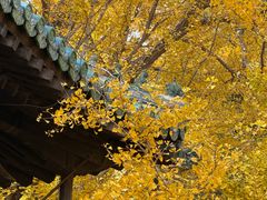 -大觉寺-停车场