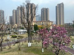 -府河摄影公园