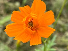 -桤木河湿地公园