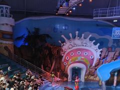 -烟台海昌鲸鲨海洋公园