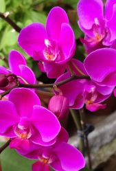 -明匠曲蛋糕西点屋(穗花新村店)