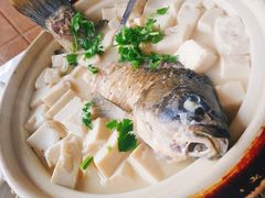 -丁老爷子苏香圆