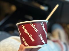 -哈根达斯(济南万象城店)