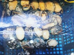 -臻悦海宴.家宴(奥体中心店)