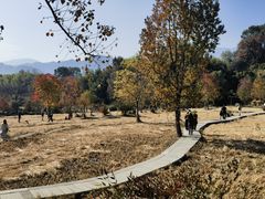 -塔川景区