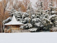 -银树楼(紫玉山庄东区店)