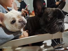 -VS SPORTS PARK运动玩乐园·团建·生日会(合生汇店)