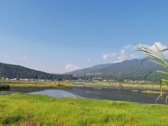 -腾冲北海湿地