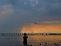 -宝安西湾红树林湿地公园