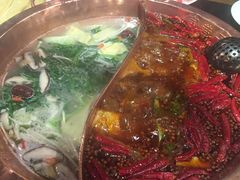 -宽巷子成都火锅(南站店)